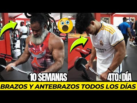 Brazos y ANTEBRAZOS TODOS los días + 10 semanas 4to. Día + Pecho y Espalda.