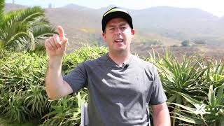 XPT Performance Breathing | Degree of Breathlessness