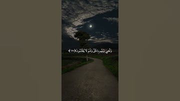 قران كريم بصوت القارئ ياسر الدوسري | تلاوة هادئة وجميلة جدا 😴♥️# راحة نفسية