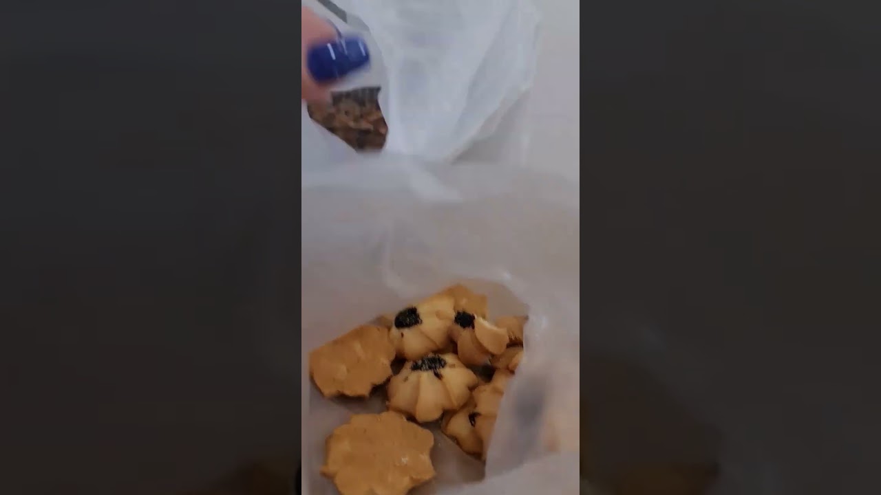 Мистер Булкинс. Одесса, ул. Торговая 46