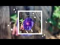 Haruko - morning glory