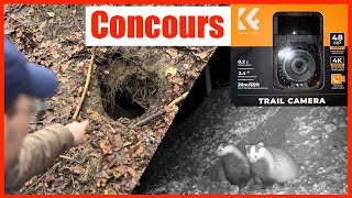 Comment j&#39;ai trouvé et observé des BLAIREAUX / CONCOURS → gagne un piège photo!!