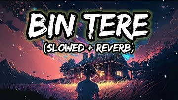 Bin Tere | Slowed + Reverb | Shafqat Amanat Ali, Sunidhi Chauhan | @srlofi71