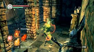 Dark Souls- Prepare To Die Edition 11 серия - Undead Dragon