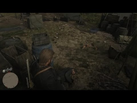 Red Dead Redemption 2_20250621002554