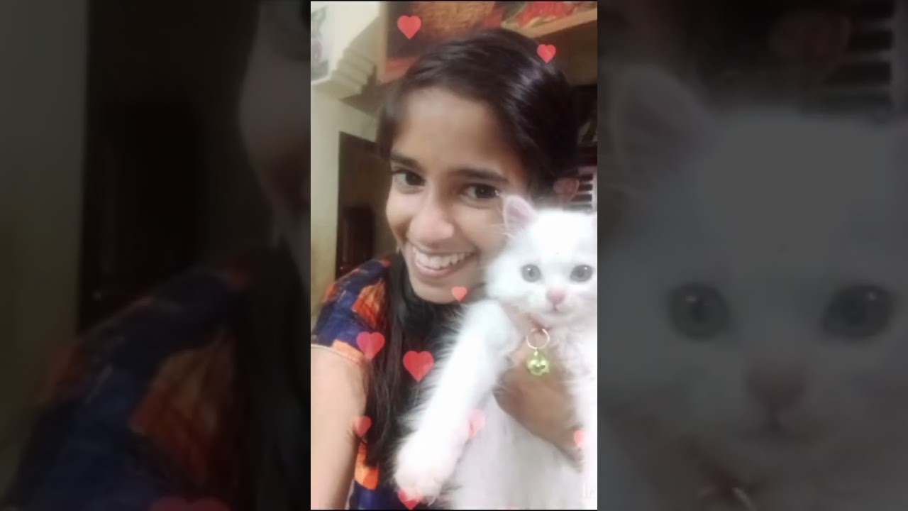 Chakkimol😭😭😭