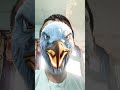 I'm a eagle