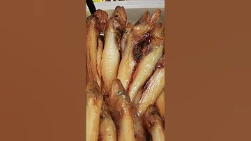 Вкусная рыба Байкала. Омуль, Голомянка, Хариус, Ленок, Сиг, Даватчан, Таймань, Нерпа