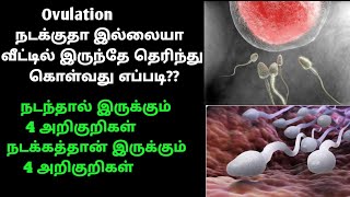 How to find ovulation date at home in tamil || ovulation symptoms in tamil || pregnancy tips tamil