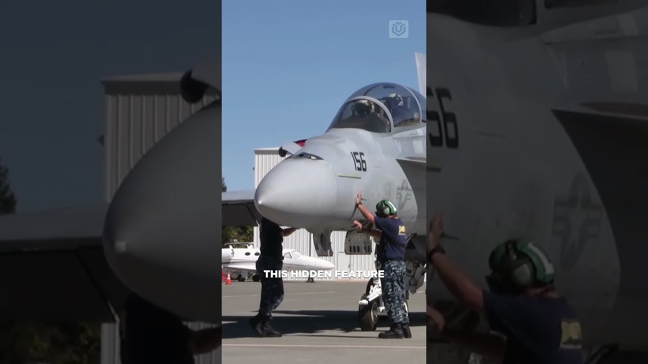 The Hornet Hides This Until It Needs Fuel