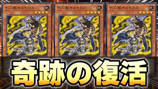 【十二獣最強！？】新環境！最強デッキが決定！KGカップ開催するぞおおおおおおおおおおおお【遊戯王マスターデュエル】