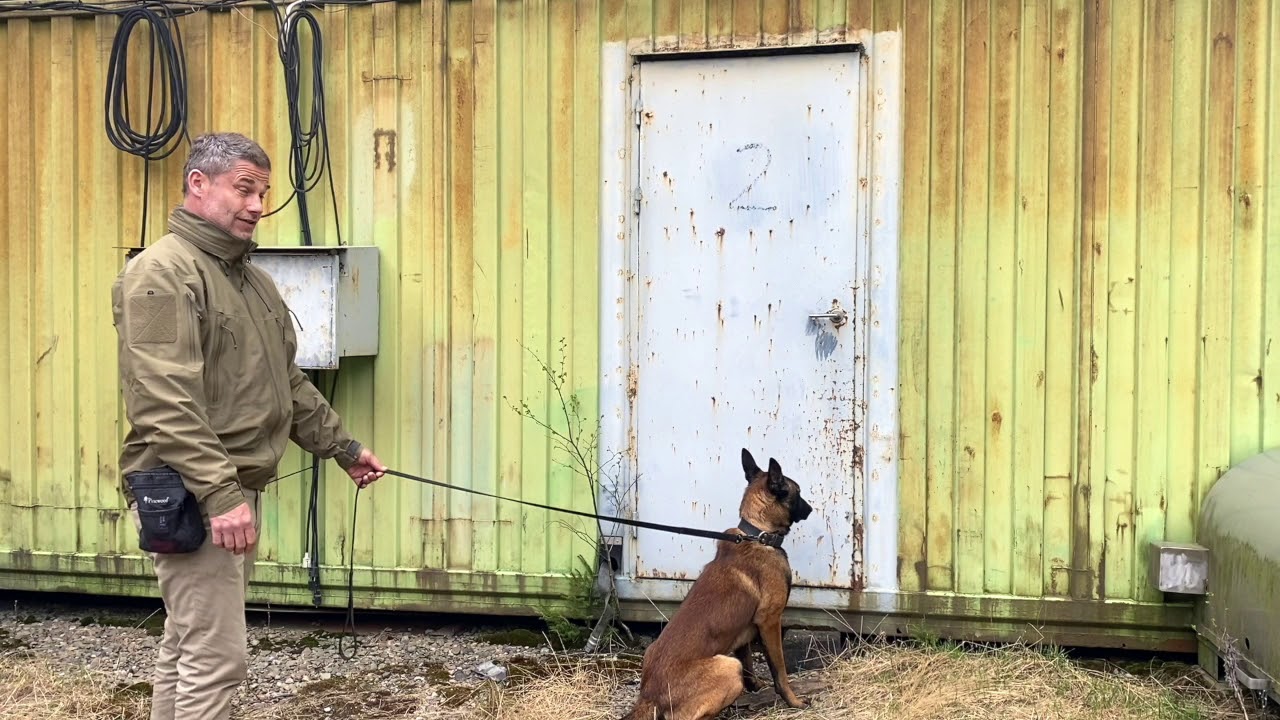 Search-Module 6 Step 1