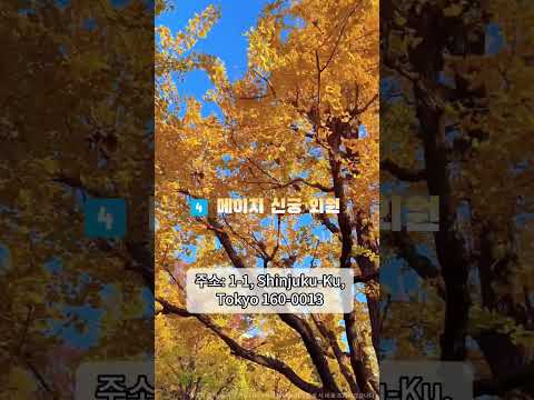 📌 무조건 저장 !🍁 일본 도쿄 단풍&은행나무 역대급 명소#도쿄여행 #도쿄단풍 #도쿄가을여행 #도쿄핫플 #나리타공항 #하네다공항 #도쿄공항픽업 #도쿄공항샌딩 #innn
