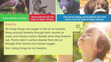 Science Class 4 – Chapter 1: Characteristics and Life Processes of Living Things | Pages 4–8