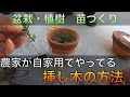 挿し木で杉の苗と盆栽づくり!農家のノウハウを学び持続可能な山開拓【山開拓】#27