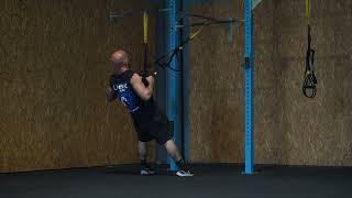 TRX Ring Row Hold
