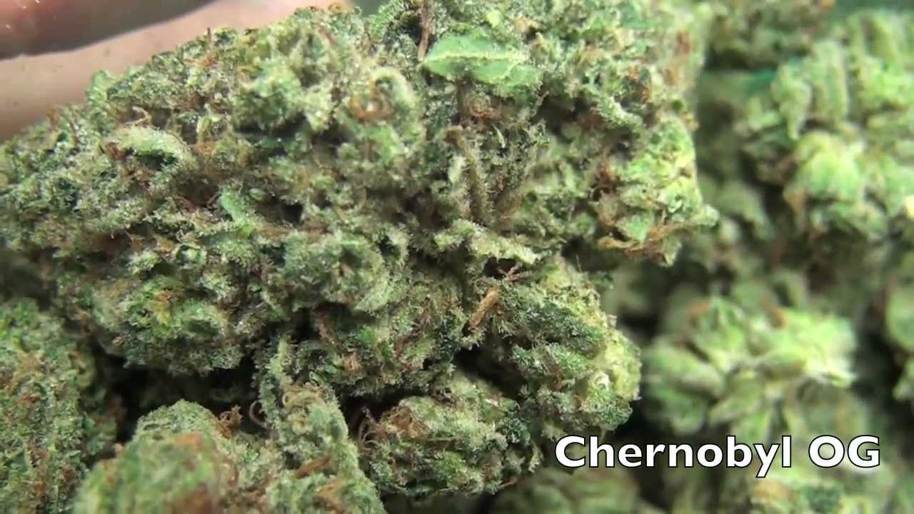 RMW: Heavenly Herbal Collective Bud Showcase