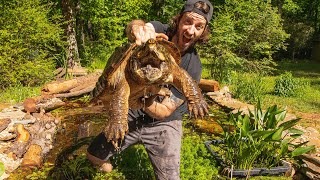 EPIC Alligator Snapping Turtle POND BUILD! DIY How To