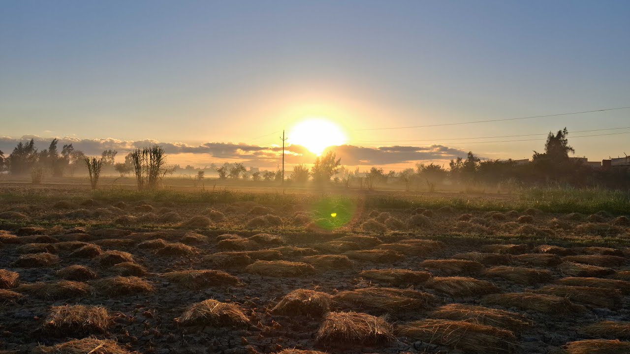 صلاة التراويح من مسجد عزبه ابراهيم مصطفي القارئ منصور العبسي