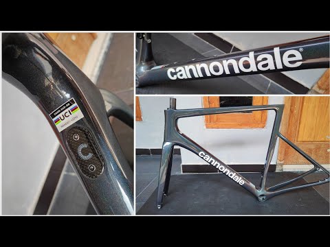 Video: Puas Cannondale txwv tsis pub txhawb pab pawg neeg txhawb nqa thaum kawg ntawm lub caij?