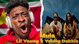 Lil Young X Young Dekkie - Mula Official Music Video Reaction