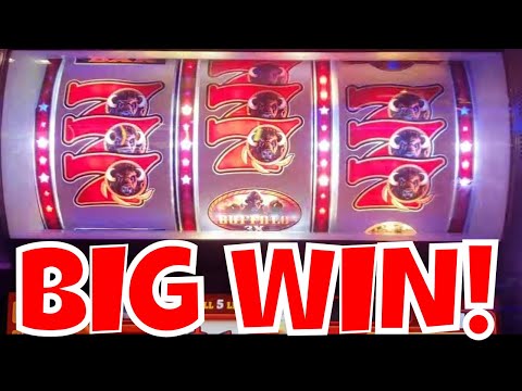 FIRST TIME PLAYING BUFFALO 3 REEL - BIG WIN!