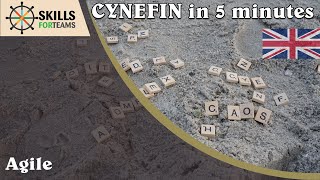 Cynefin in 5 Minutes - the difference between complex and complicated [english]