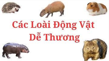 Trẻ bắt đầu học nói qua Các Loài Động Vật Dễ Thương