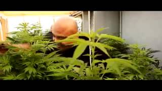 Sicc2Sicc Gs Blaze It Up New Music Video 2013