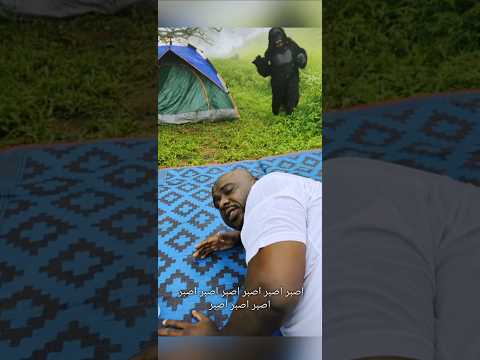   القرد و الخيمه ومقلب العمر في شمشون اكسبلور 