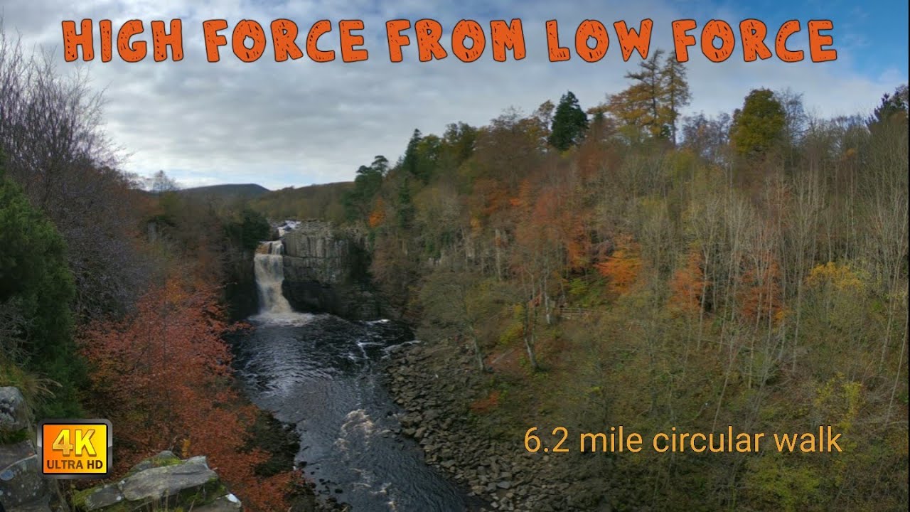 High Force Waterfall From Bowlees Visitor Centre Low Force Autumn Walk