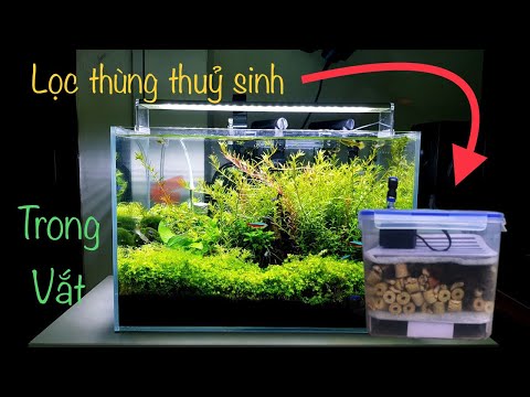 Video Chế lọc thùng cho bể cá thuỷ sinh - NƯỚC TRONG VẮT - youtube