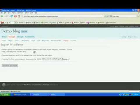 How to import WP database