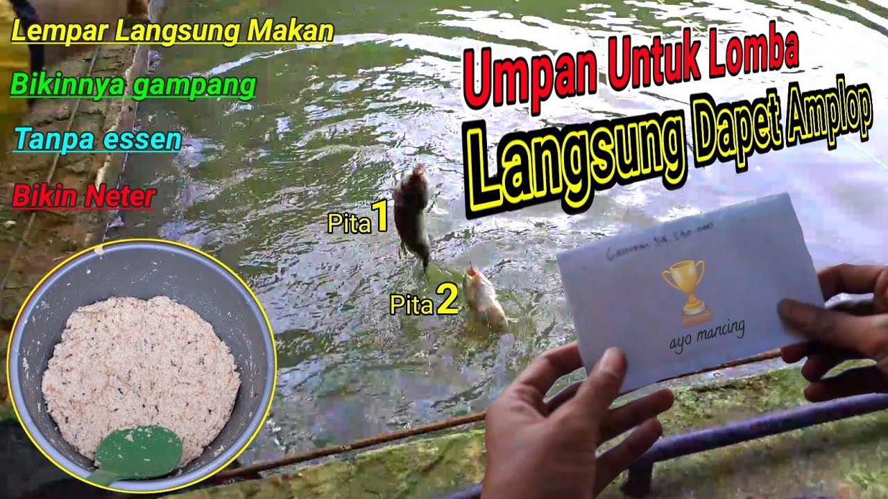 Langsung Juara🔥Racikan Umpan Lomba Ikan Mas Super Ampuh \\ Juara Ikan Mas Terbanyak
