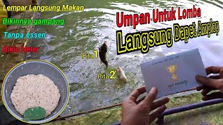 Langsung Juara🔥Racikan Umpan Lomba Ikan Mas Super Ampuh \\ Juara Ikan Mas Terbanyak