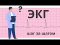 ЭКГ алгоритм. Анализ ЭКГ шаг за шагом. 8 этапов оценки ЭКГ ленты