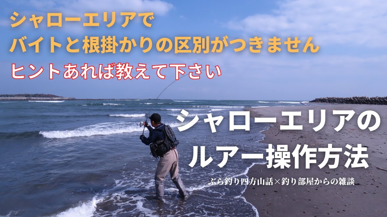 シャローエリア様専用 シャローエリア様専用