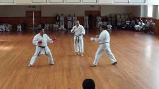 Grading San (3rd) Dan   Kumite 2   080913