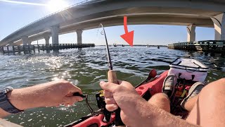 Hooking the Biggest FISH of My LIFE In a Busy Channel | Redfish & Flounder Catch and Cook