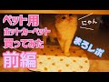 ペット用ホットカーペット買ってみた　前編  We bought a hot carpet for pets. Part 1【マロンのまろまろレポート】