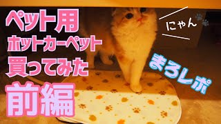 ペット用ホットカーペット買ってみた　前編  We bought a hot carpet for pets. Part 1【マロンのまろまろレポート】