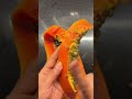 How to cut papaya  perfect cubes easily #ytshorts #trendingshorts #hacks#subscribe