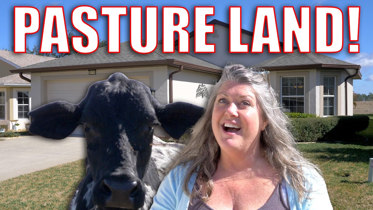 Коровы на заднем дворе! Дом по ОТЛИЧНОЙ цене на продажу! Центральная Флорида, 55+