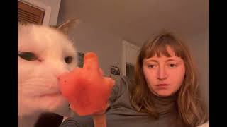 Cat Licking Popsicle