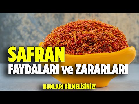 Safranın faydaları nelerdir? SAFRAN Zararları Nelerdir? - Safran - Pratik Bilgi Bankası