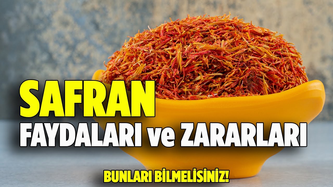 Safranın faydaları nelerdir? SAFRAN Zararları Nelerdir? – Safran Pratik Yemek Tariflerim
