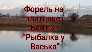 Форель на платнике. Бент -3. &quot;Рыбалка у Васька&quot;.