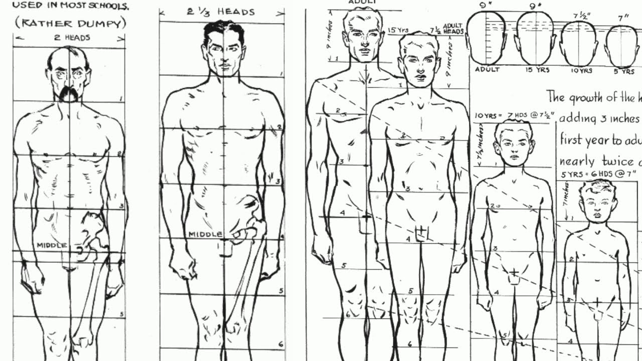 how-to-draw-basics-proportion-youtube