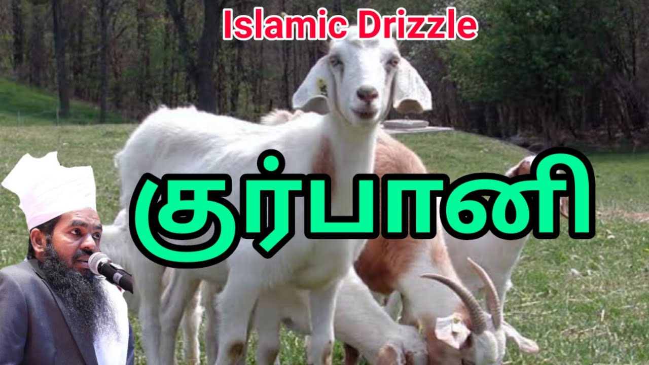 குர்பானி |  M.சதீதுத்தீன் பாகவி ஹஜ்ரத் அவர்கள் | Tamil bayan | Islamic Drizzle | qurbani | الاضحية