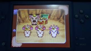 Hi! Hamtaro Ham Ham Games Fun Ds